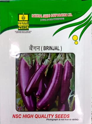 NSC-BRINJAL VARIETY PPL HIGH QUALITY SEEDS-10 GMS POUCH