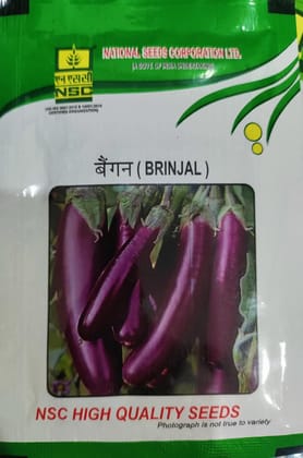 Brinjal PPL