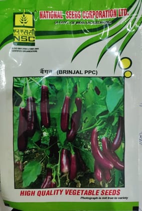 Brinjal PPC