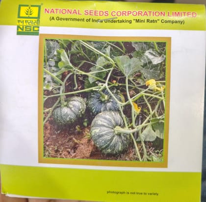 Pumpkin/ Kashi Harit