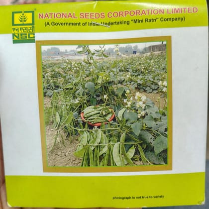 Sem/ Kashi Bauni (Sem-207)