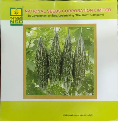 Bitter Gourd Kashi Pratishtha