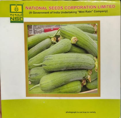 Sponge gourd/ Kashi Shreya