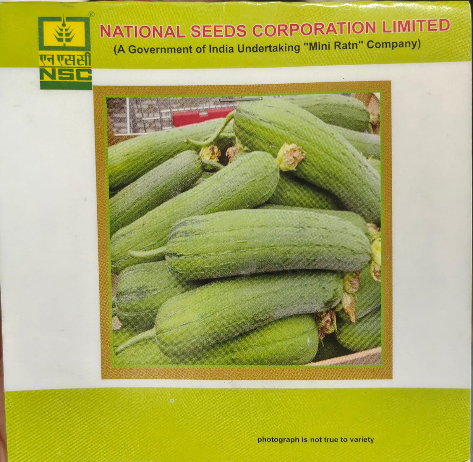 Sponge gourd/ Kashi Shreya