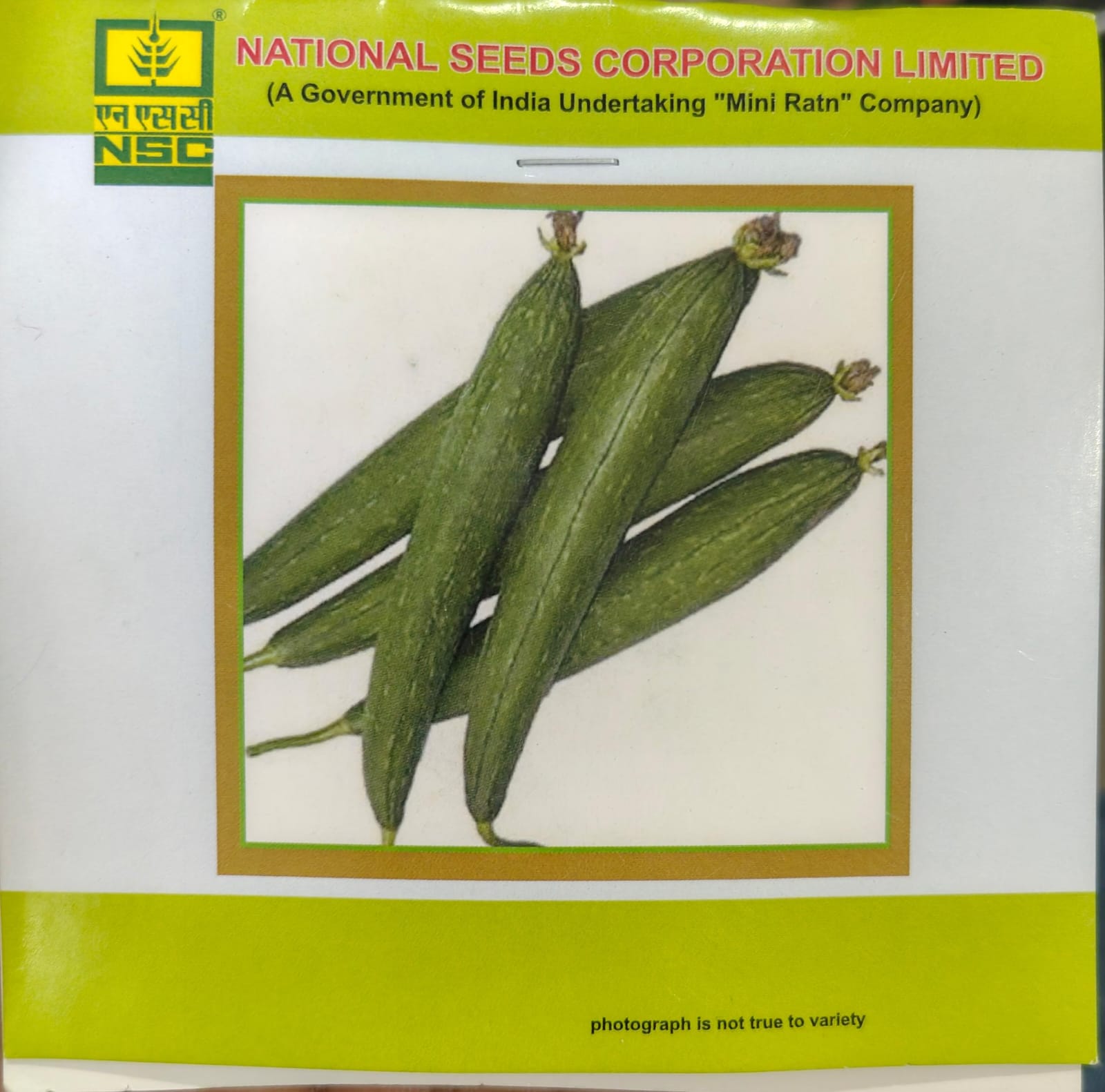 Sponge gourd/ Kashi Jyoti