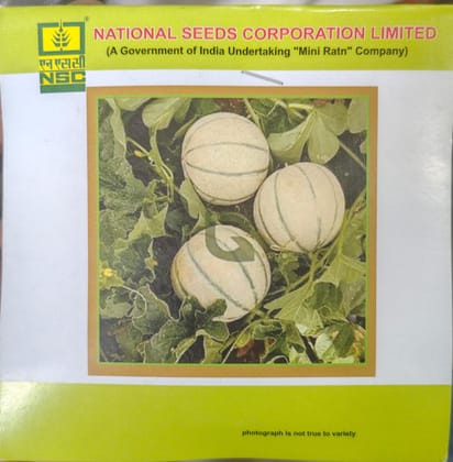 Musk melon/ Kashi Madhu