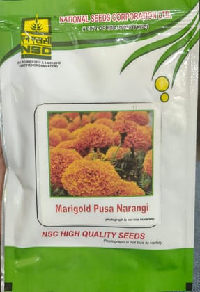 Marigold/ Pusa Narangi