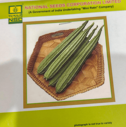 Ridge gourd/ Kashi Nanda