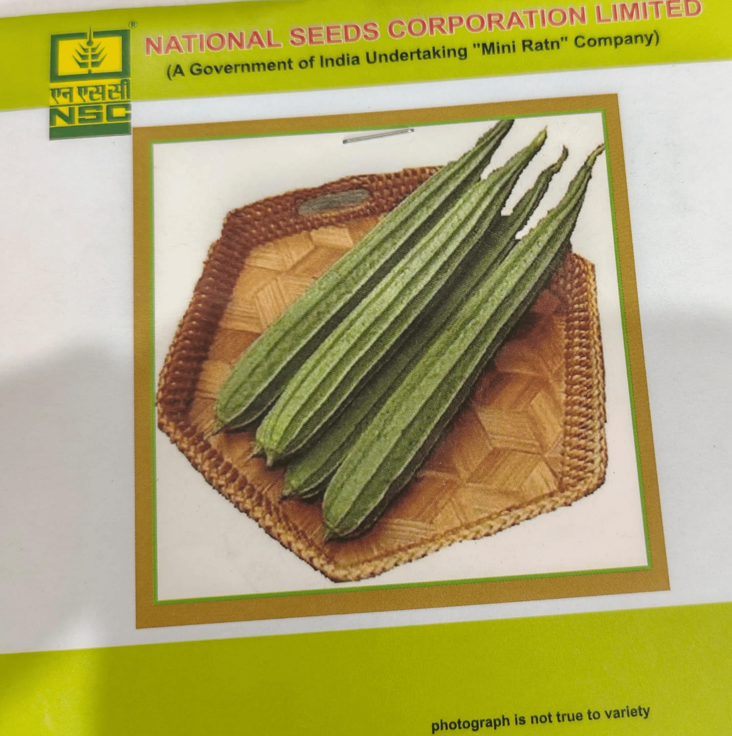 Ridge gourd/ Kashi Nanda