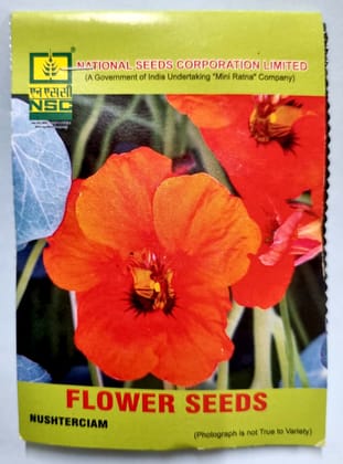 NSC Nasturtium Flower Seeds – Vibrant Blooming High-Quality Seeds (5 g Pouch) | Easy-to-Grow Pack
