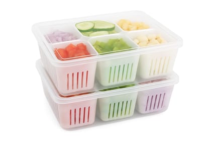 6-Compartment Multi-Purpose Food Storage Container Set of 2