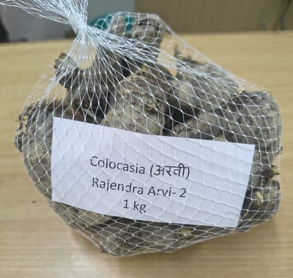 NSC Colocasia(Arvi) Rajendra Arvi-2 Seed/tubers, 1 kg