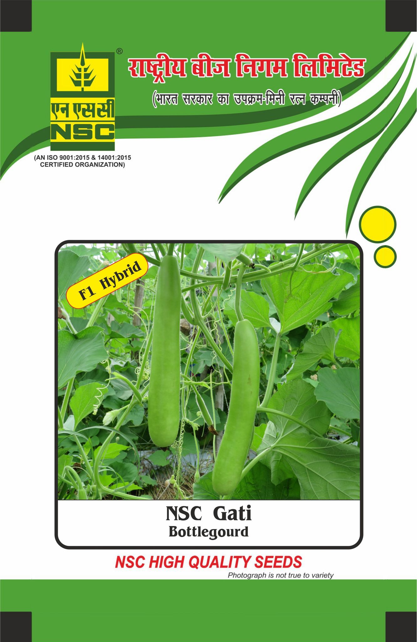 NSC Bottle Gourd Gati, 25 gm Hybrid seed pouch