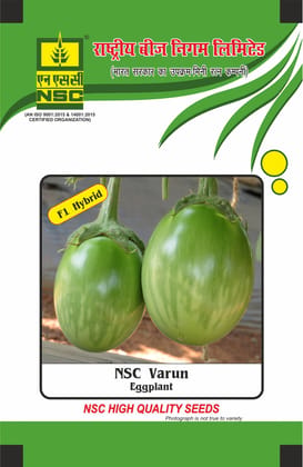 NSC Brinjal Varun Hybrid, 10 gram Seed Pouch