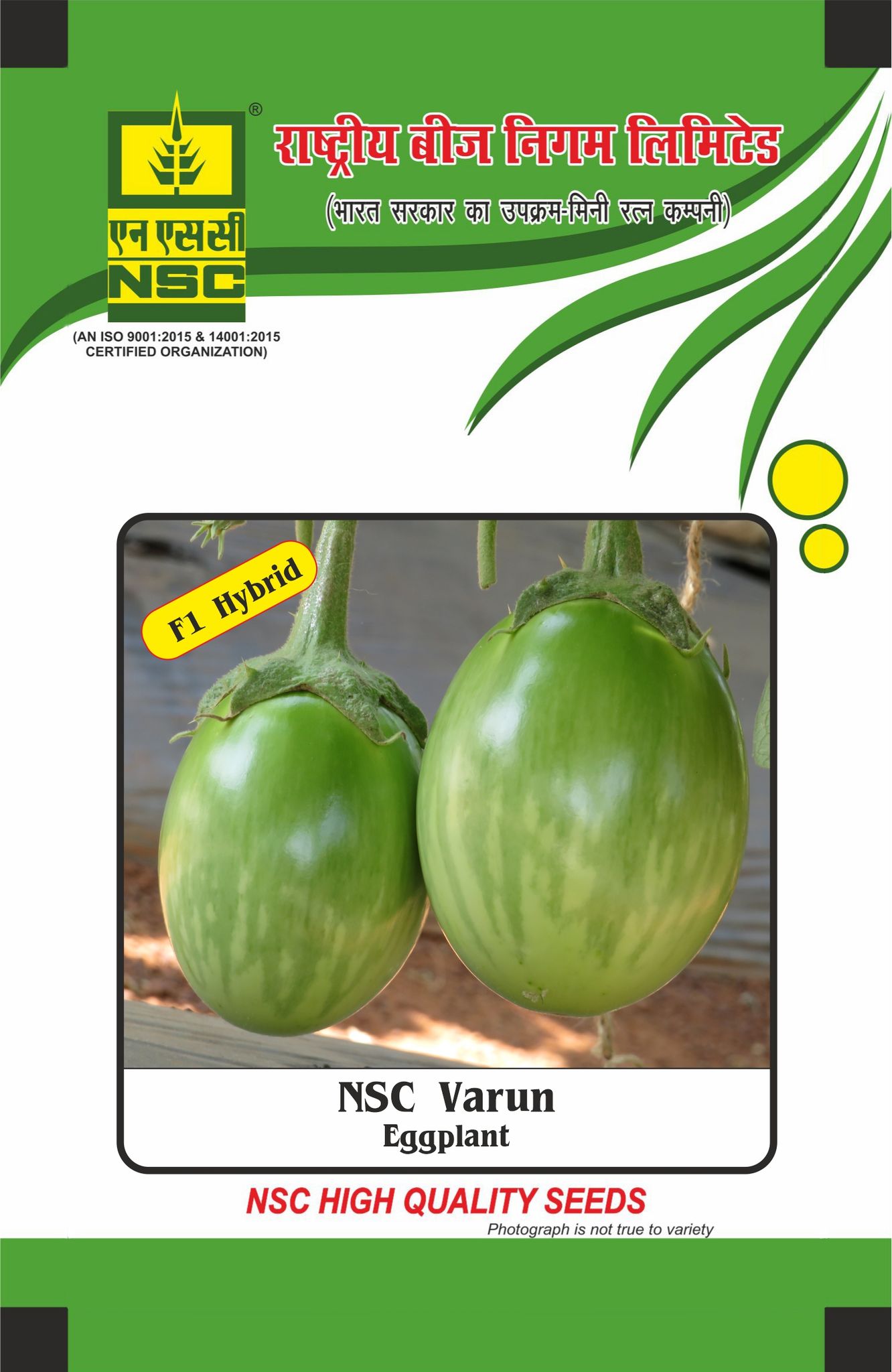 NSC Brinjal Varun Hybrid, 10 gram Seed Pouch