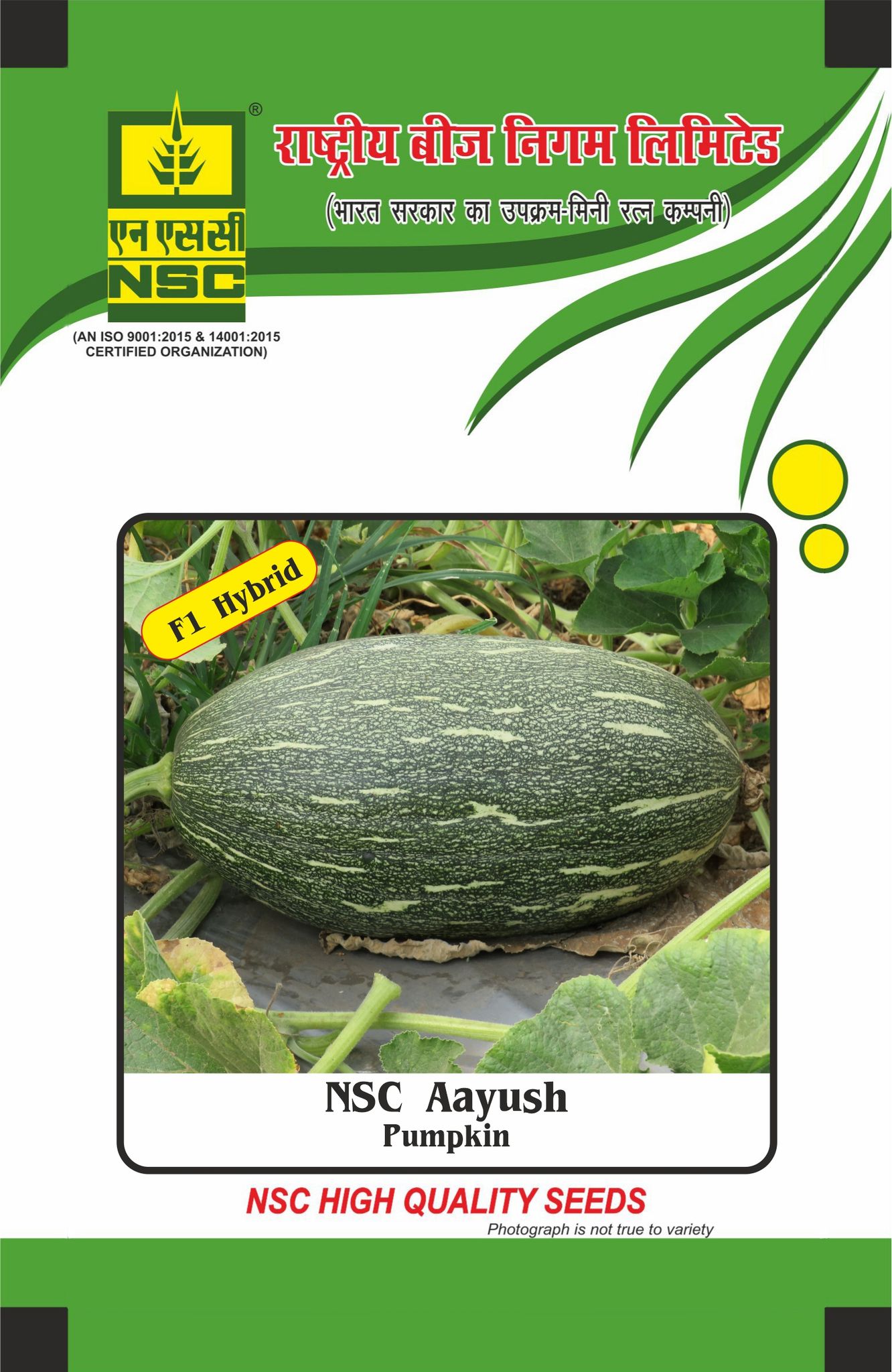 NSC Pumpkin Aayush Hybrid, 25 gram Seed Pouch