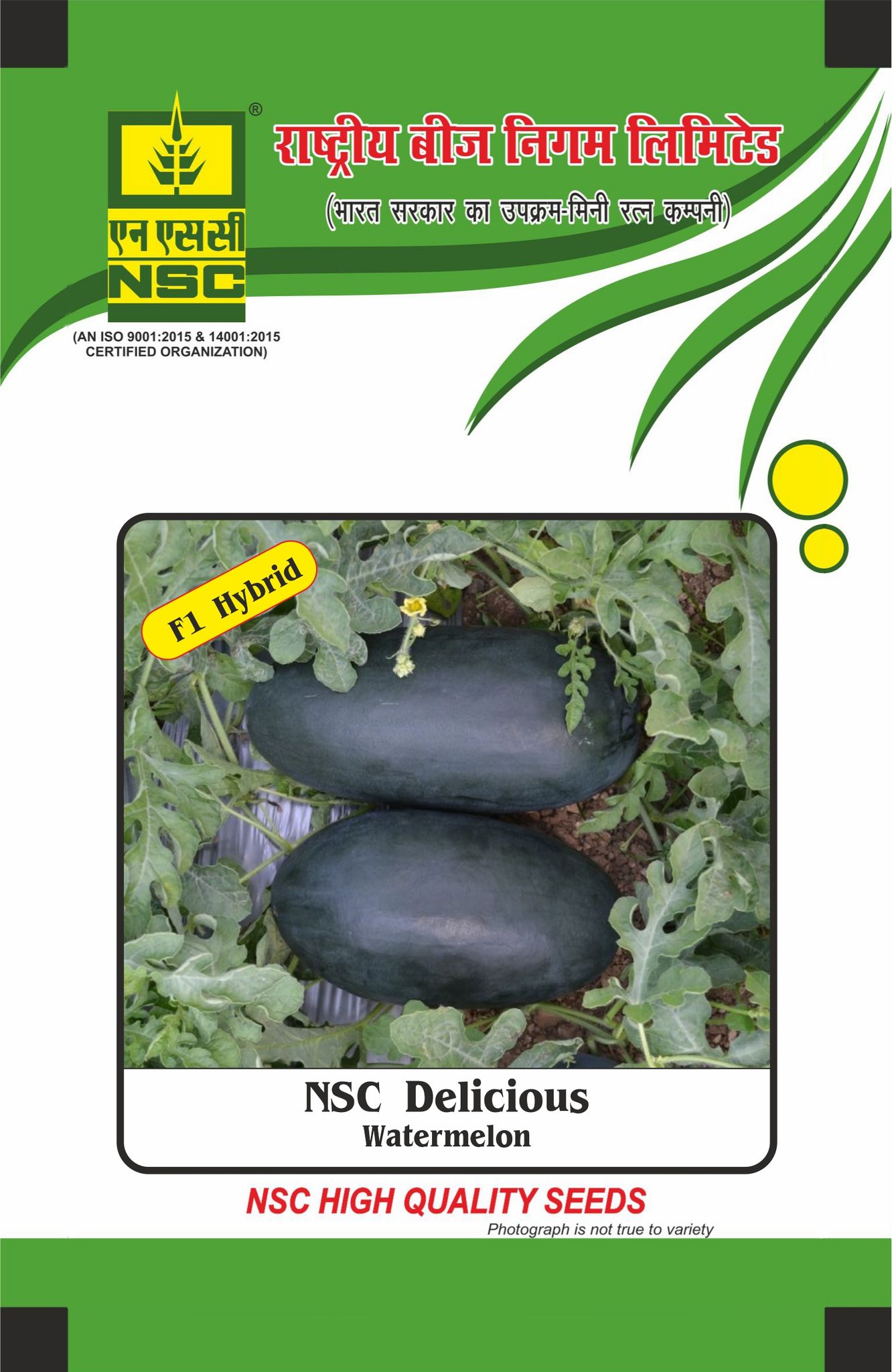 NSC Hybrid Watermelon, Delicious, 25 gram Seed Pouch