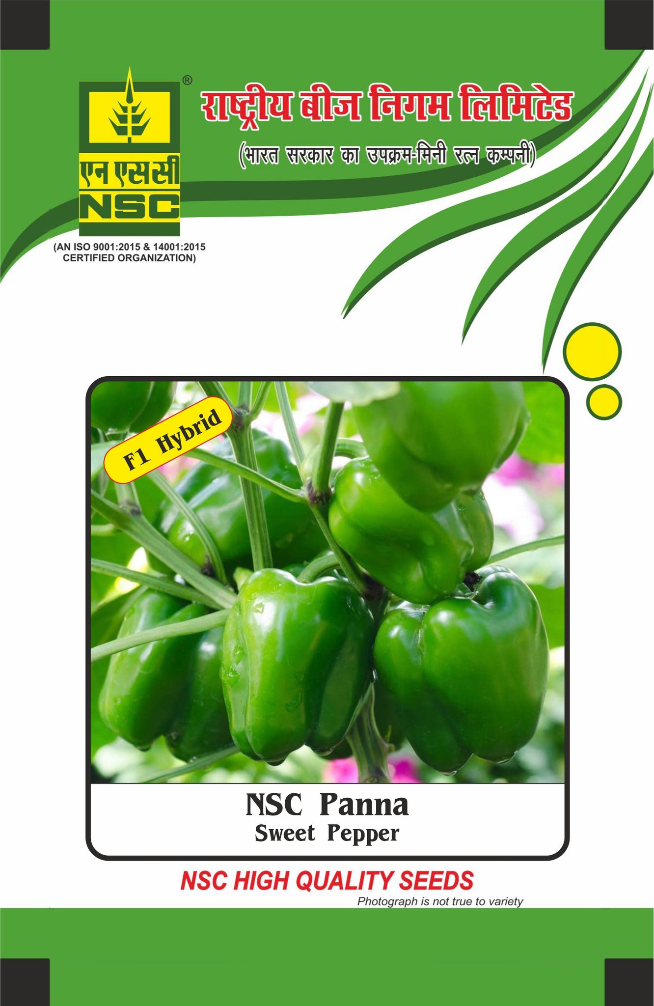 NSC Hybrid Capsicum, Panna, 10 gram Seed Pouch