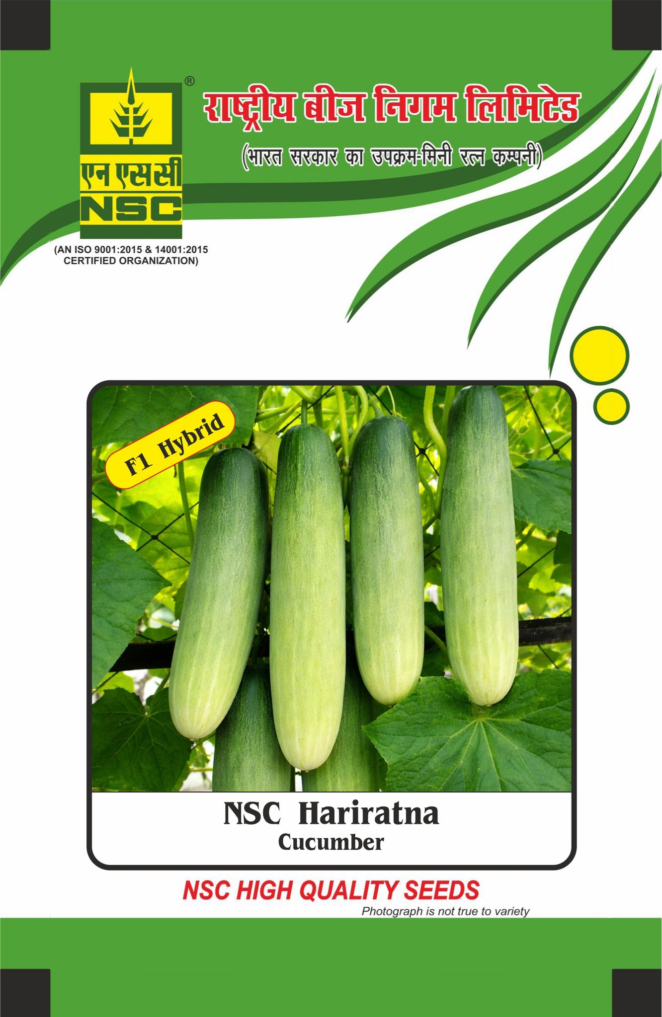 NSC Hybrid Cucumber, Hari Ratna, 10 gram seed pouch