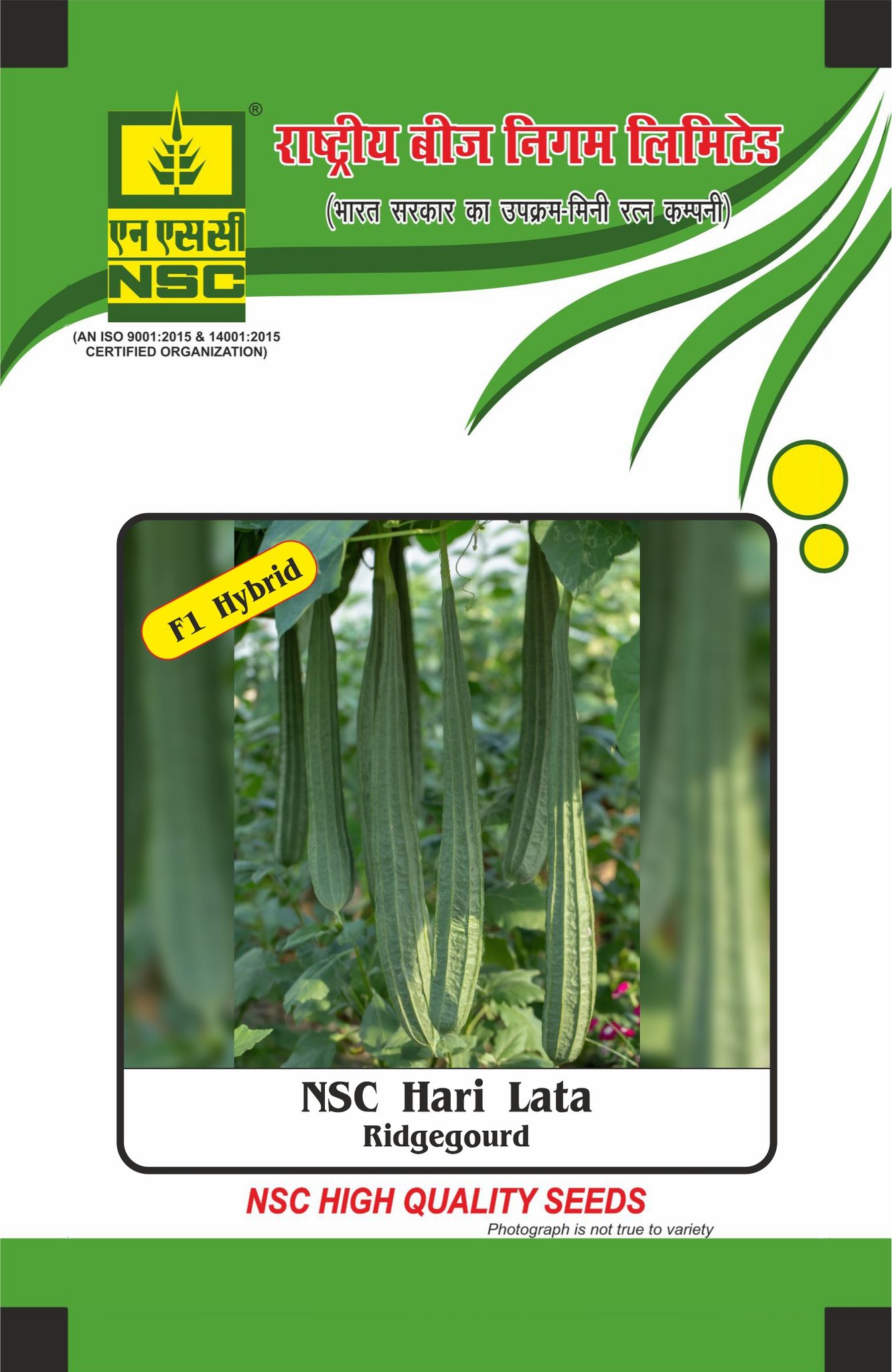 NSC Ridgegourd, Hari Lata, 25 gram Hybrid Seed Pouch