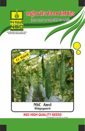 NSC Ridge gourd, Anvi, 25 Gram Hybrid Seed Pouch