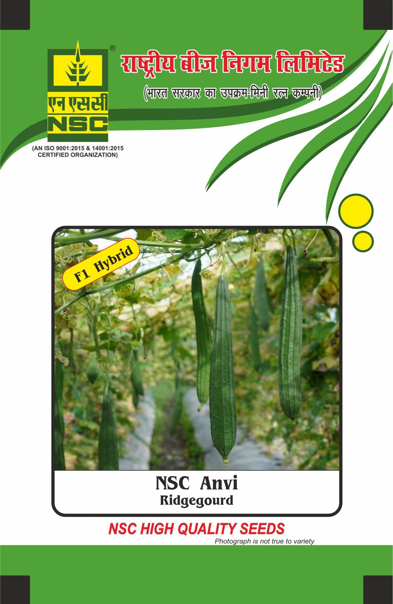 NSC Ridge gourd, Anvi, 25 Gram Hybrid Seed Pouch