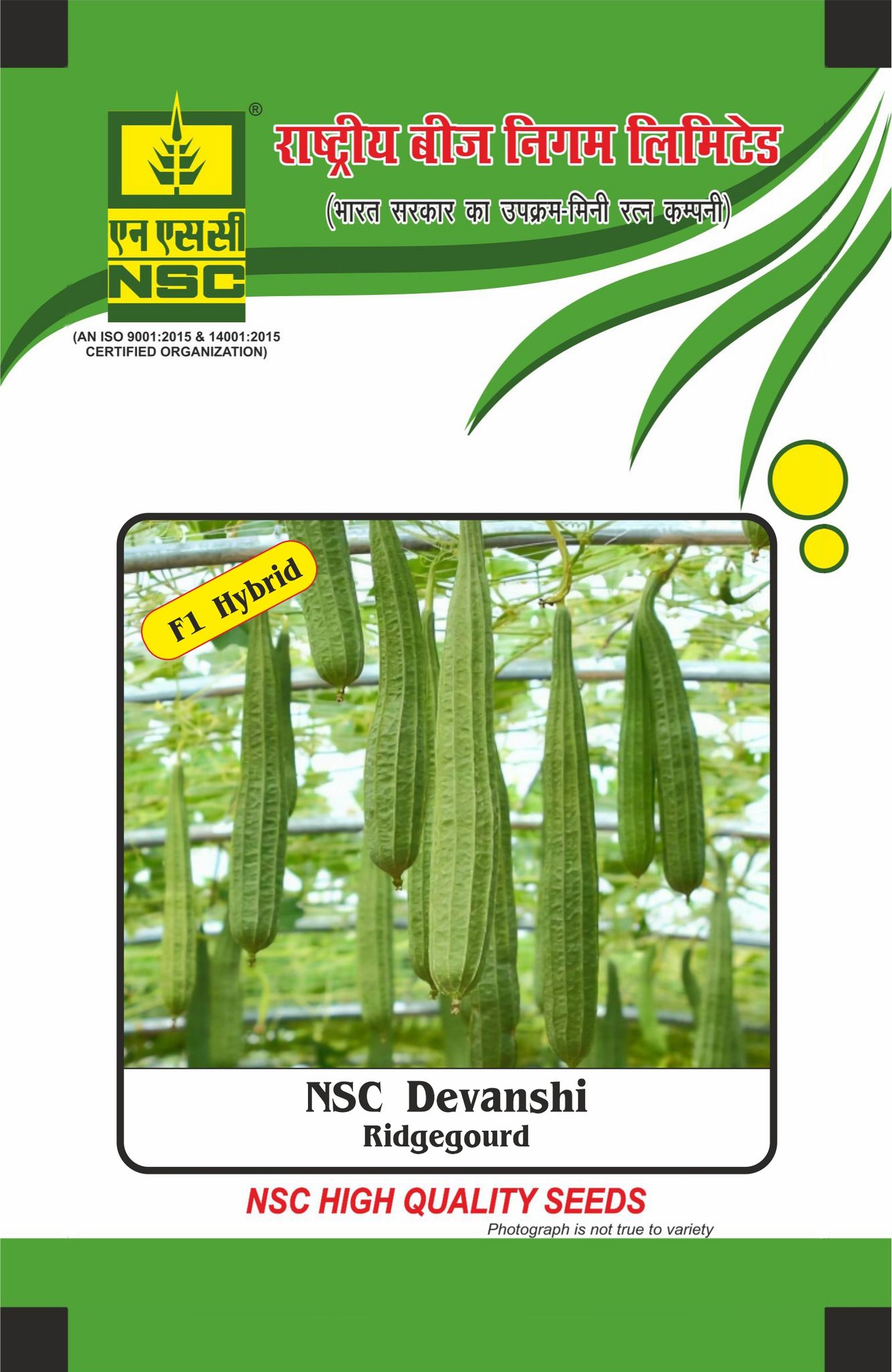 NSC Ridgegourd, Devanshi, 25 gram Hybrid Seed Pouch