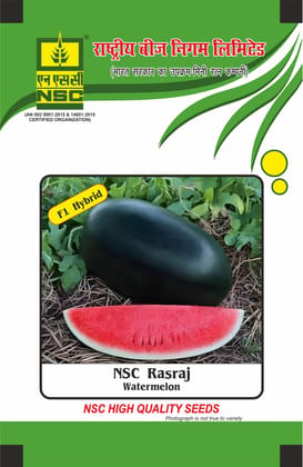 NSC Watermelon, Rasraj, 25 Gram Hybrid Seed Pouch