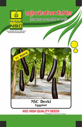NSC Brinjal, Devki, 10 gram Hybrid Seed Pouch