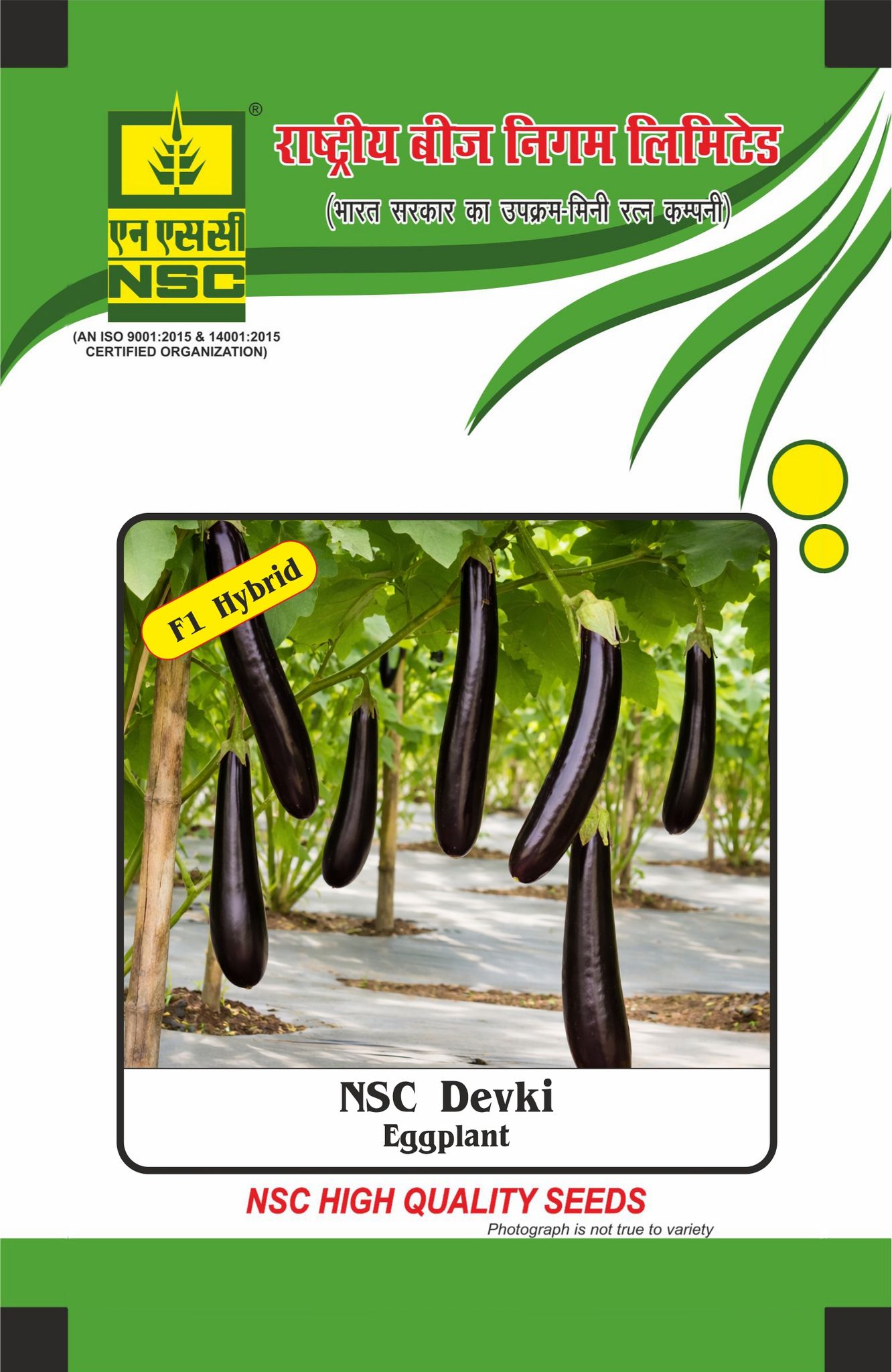 NSC Brinjal, Devki, 10 gram Hybrid Seed Pouch