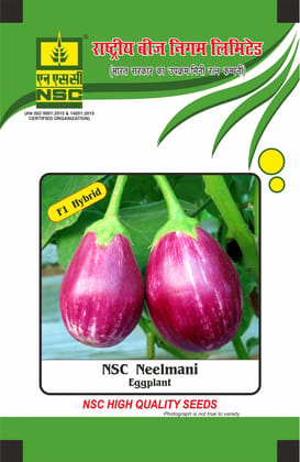 NSC Brinjal, Neelmani, 10 Gram Hybrid Seed Pouch