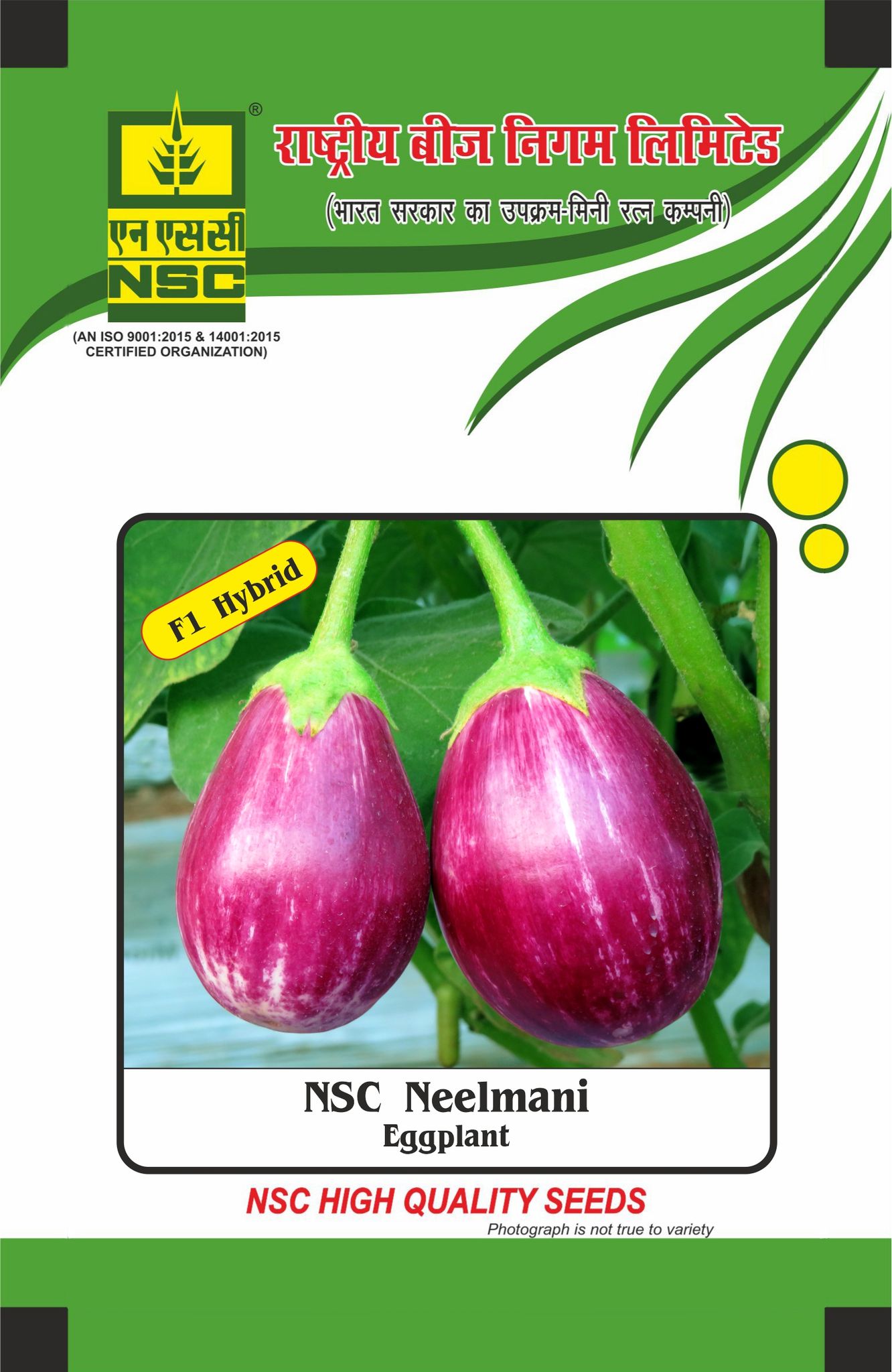 NSC Brinjal, Neelmani, 10 Gram Hybrid Seed Pouch