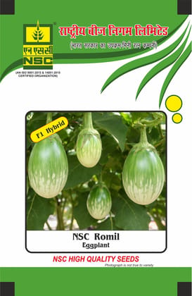 NSC Brinjal, Romil, 10 Gram Hybrid Seed Pouch