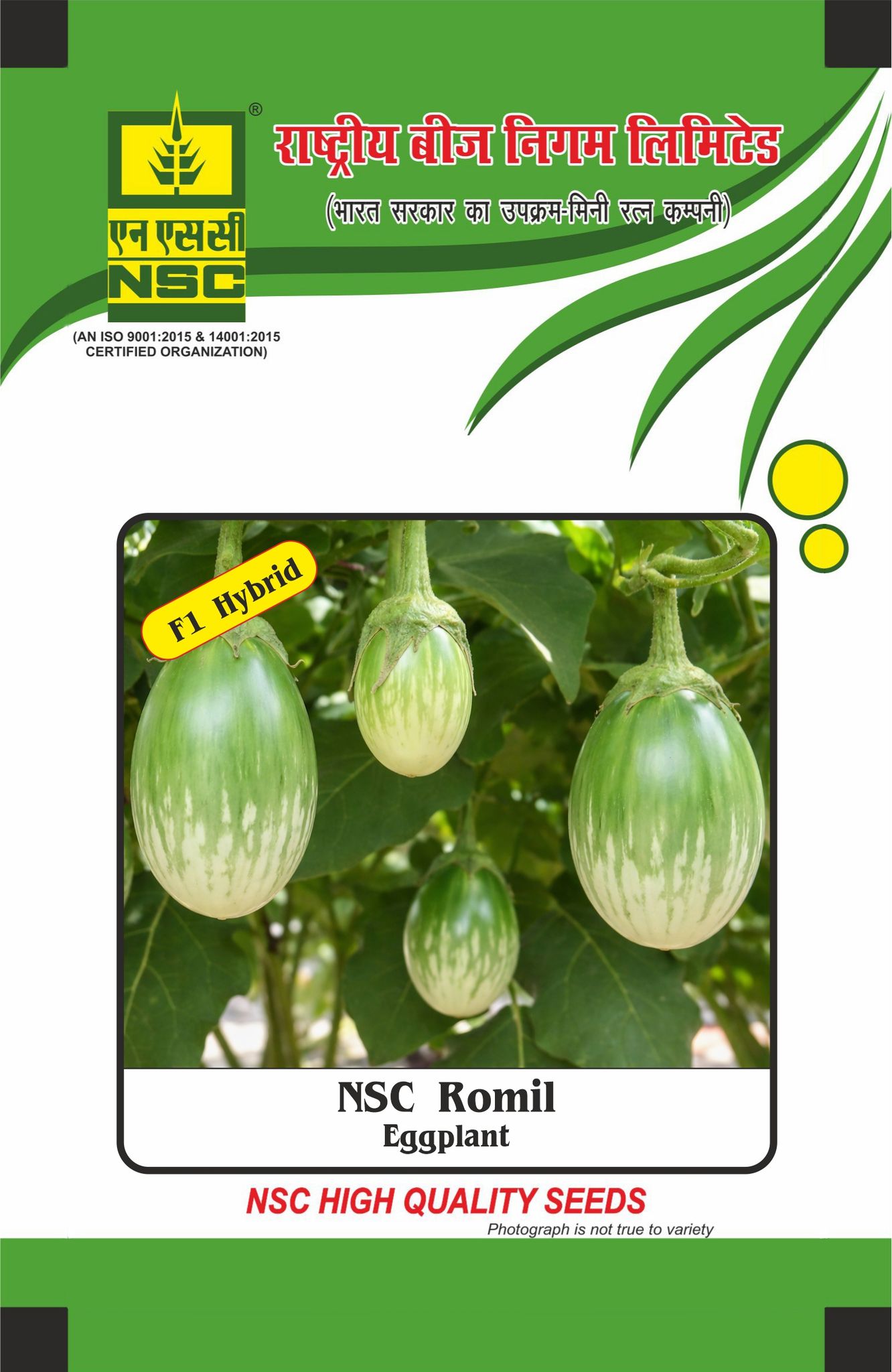 NSC Brinjal, Romil, 10 Gram Hybrid Seed Pouch