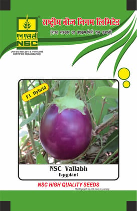 NSC Brinjal, Vallabh, 10 Gram Hybrid Seed Pouch