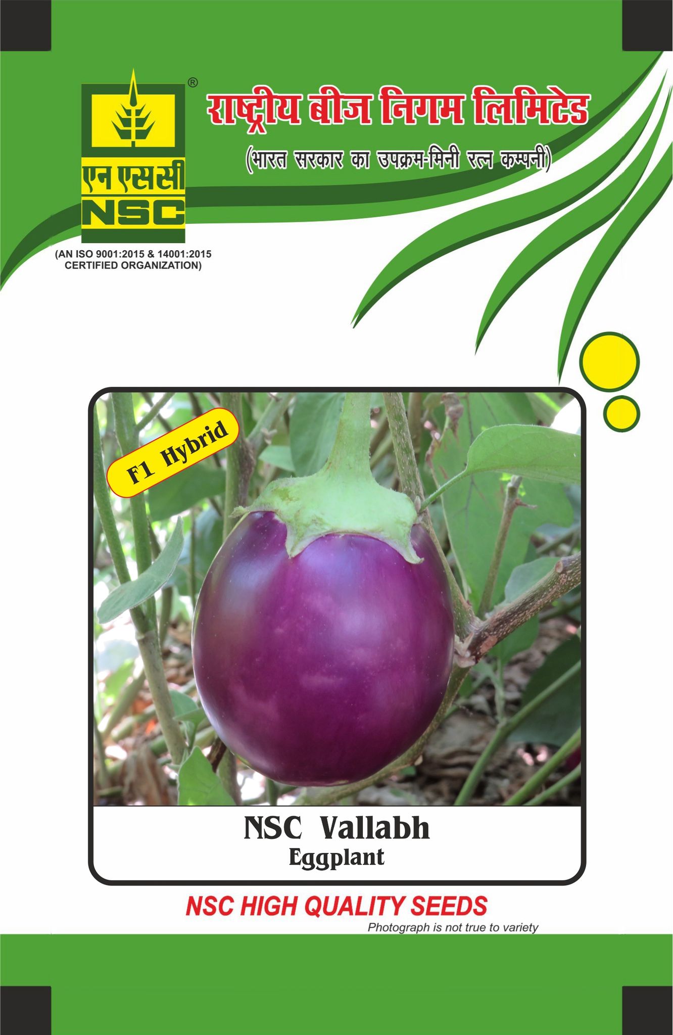 NSC Brinjal, Vallabh, 10 Gram Hybrid Seed Pouch