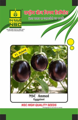 NSC Brinjal, Anmol, 10 Gram Hybrid Seed Pouch