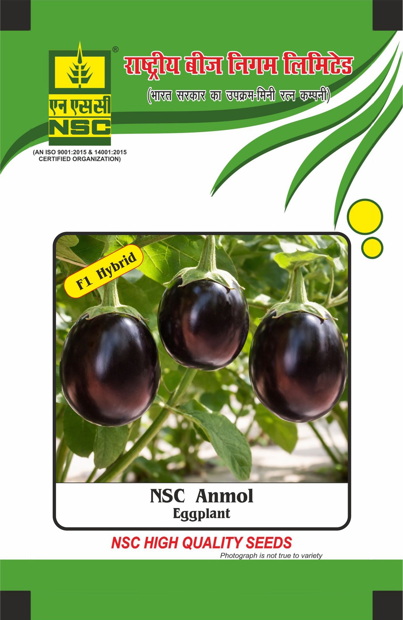NSC Brinjal, Anmol, 10 Gram Hybrid Seed Pouch