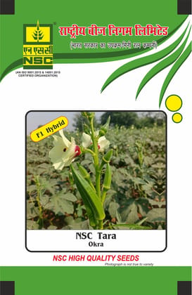 NSC Okra, Tara, 100 gram Hybrid Seed Pouch