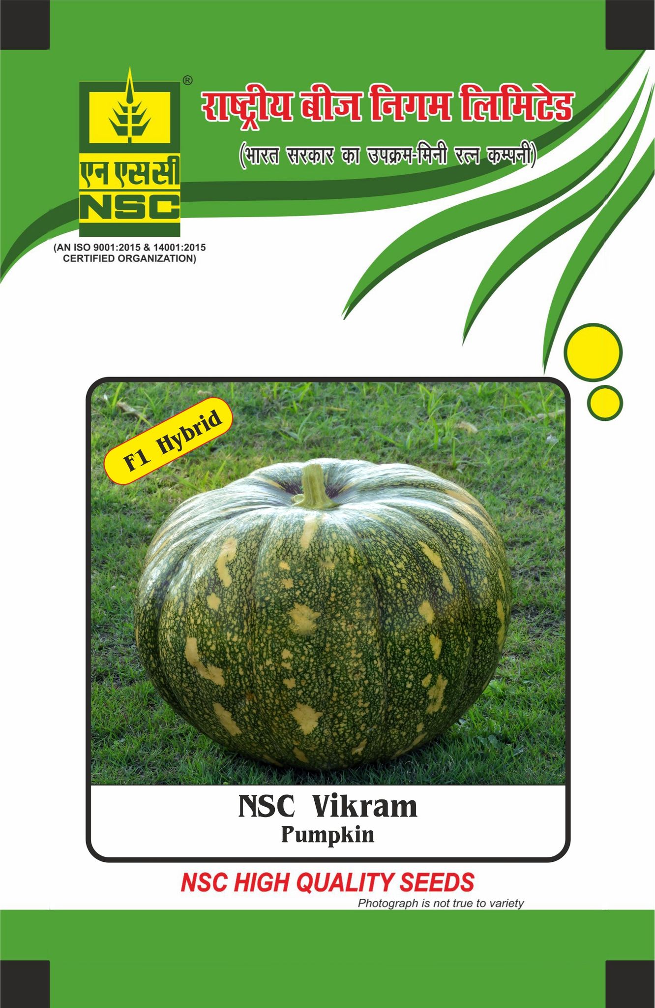 NSC Pumpkin, Vikram, 25 Gram Hybrid Seed Pouch