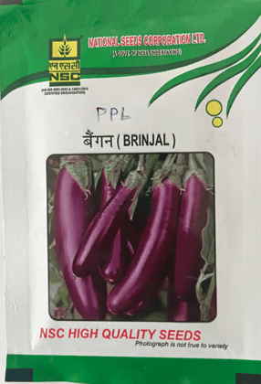 NSC Brinjal Pusa Purple Long (PPL) variety, 10 gram T/L seed