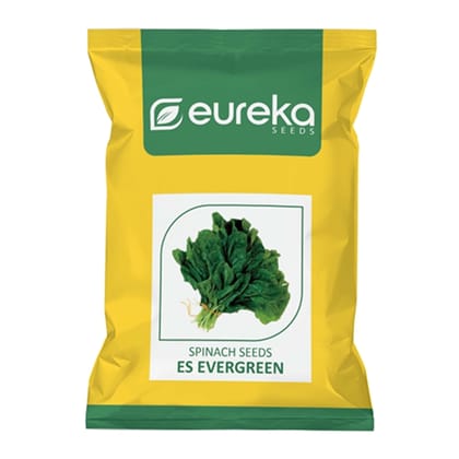 PALAK ES EVERGREEN IMPROVED