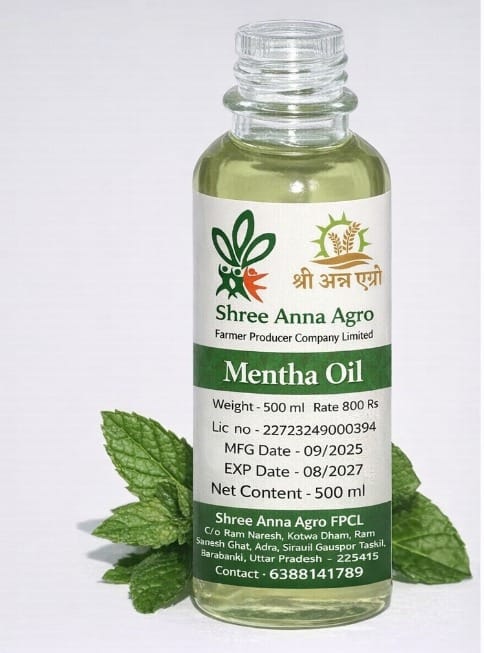 Mentha Oil - 500 ml