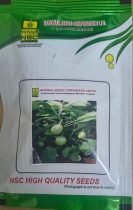 NSC Brinjal Seed Pusa Hara Baingan-1, 10gm 