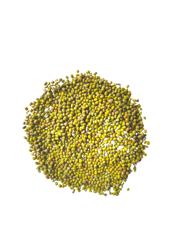 GREEN GRAM IPM 410-03 (SHIKHA)