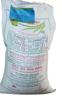 NSC Paddy Seeds Sambha Sub-1, 8KG