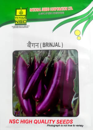 Nsc Vegetable Seed - Brinjal Pusa Purple Long - 10 Gm