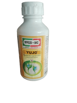 IFFCO MC’s Yujo Chlorpyrifos 50% + Cypermethrin 5% EC