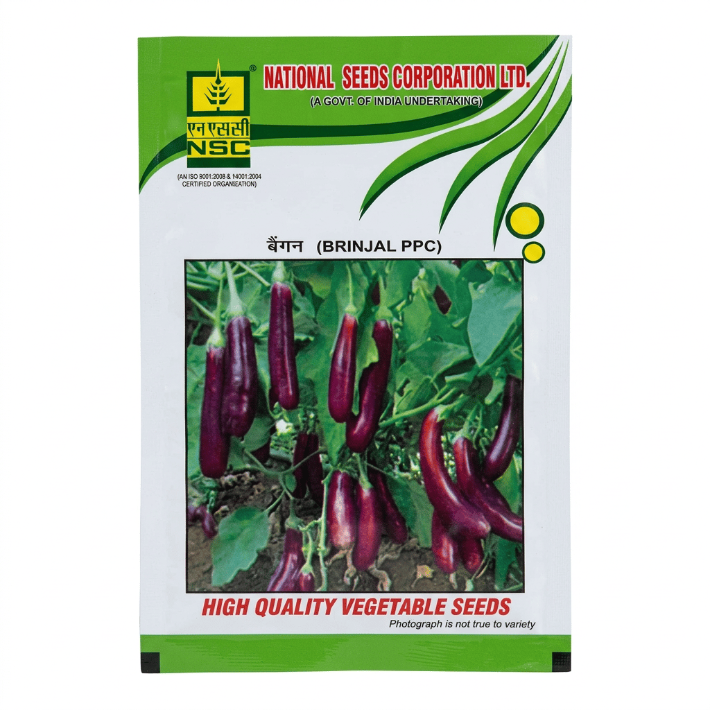 NSC BRINJAL/PPC