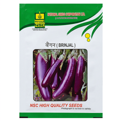 NSC BRINJAL/PPL